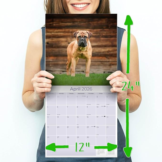 Bull Mastiff Calendar 2026 by MegaCalendars – Monthly Dog Breed Wall Calendar, Made in USA