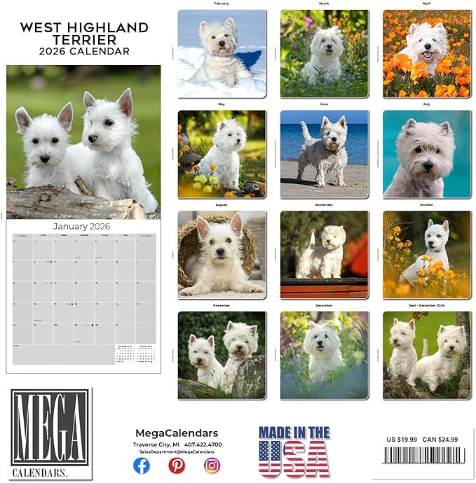 West Highland Terrier Calendar 2026 by MegaCalendars – Monthly Dog Breed Wall Calendar, Made in USA