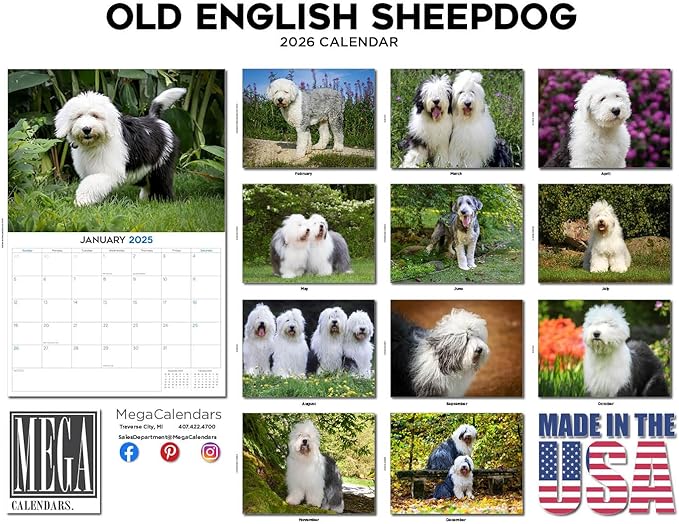 2025 2026 Old English Sheepdog Calendar - Dog Breed Monthly Wall Calendar - 12" x 18" Open - Thick No-Bleed Paper - Giftable - Academic Teacher's Planner Calendar Organizing & Planning - Made in USA