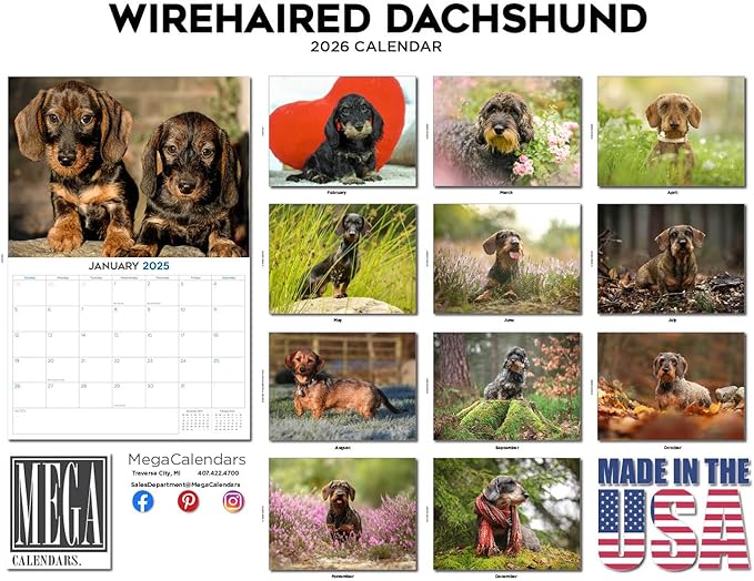 2025 2026 Dachshund Wirehaired Calendar - Dog Breed Monthly Wall Calendar - 12" x 18" Open - Thick No-Bleed Paper - Giftable - Academic Teacher's Planner Calendar Organizing & Planning - Made in USA