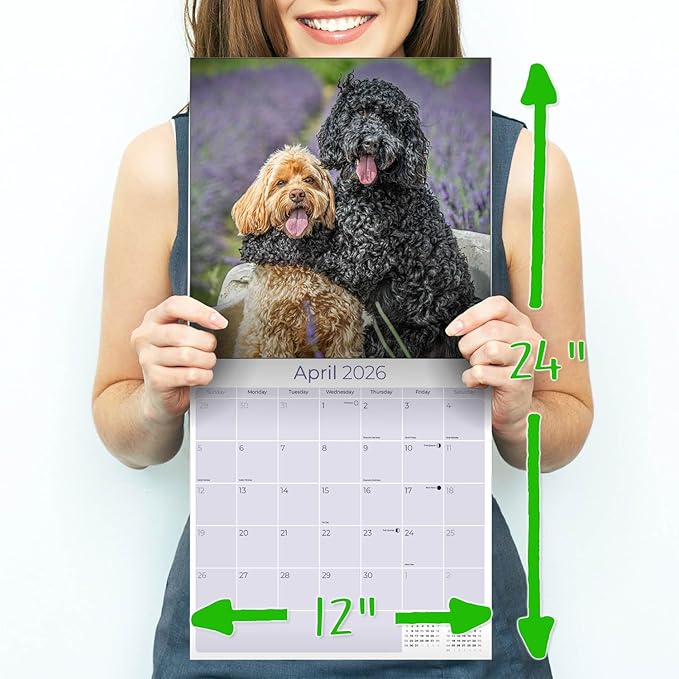 Cockapoo Calendar 2026 by MegaCalendars – Monthly Dog Breed Wall Calendar, Made in USA