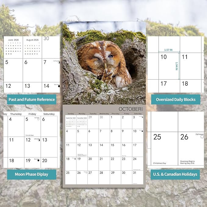 2026 Wall Calendar,Owl Calendar 2026,OWL Monthly Wall Calendar, 12" x 24" Open,Family Planner Calendar, Home & Office Organizer,Hangable