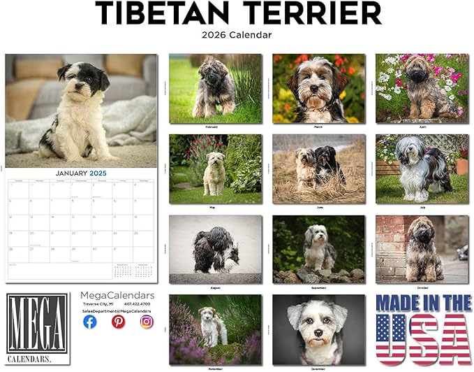 2025 2026 Tibetan Terrier Calendar - Dog Breed Monthly Wall Calendar - 12" x 18" Open - Thick No-Bleed Paper - Giftable - Academic Teacher's Planner Calendar Organizing & Planning