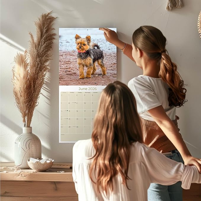 Yorkshire Terrier Calendar 2026 by MegaCalendars – Monthly Dog Breed Wall Calendar, Made in USA