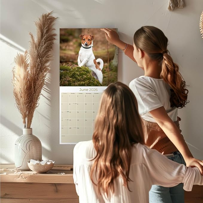 Jack Russell Calendar 2026 by MegaCalendars – Monthly Dog Breed Wall Calendar, Made in USA