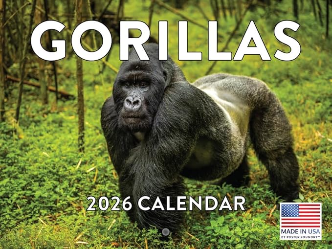 Gorilla Calendar 2026 Monthly Wall Calender 12 Month | American Made In The USA
