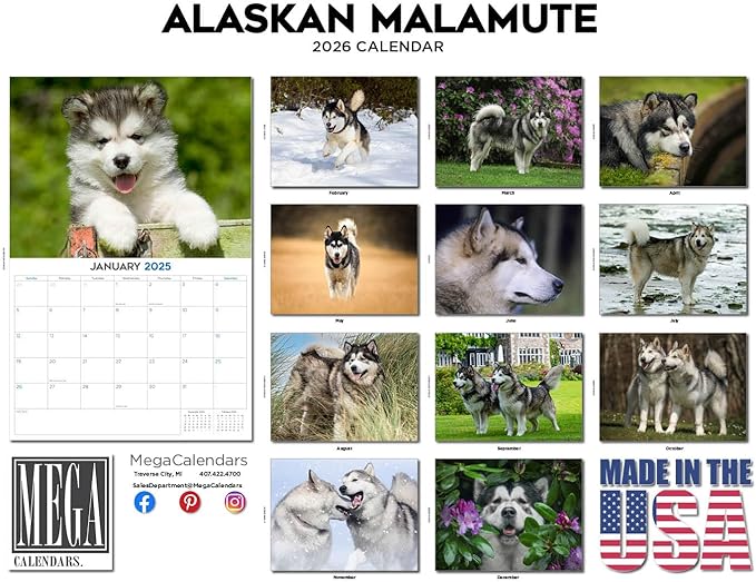2025 2026 Alaskan Malamute Calendar - Dog Breed Monthly Wall Calendar - 12" x 18" Open - Thick No-Bleed Paper - Giftable - Academic Teacher's Planner Calendar Organizing & Planning - Made in USA