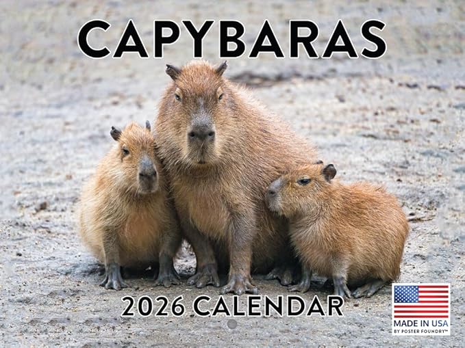 Capybara Calendar 2026 Monthly Wall Calender 12 Month | American Made In The USA