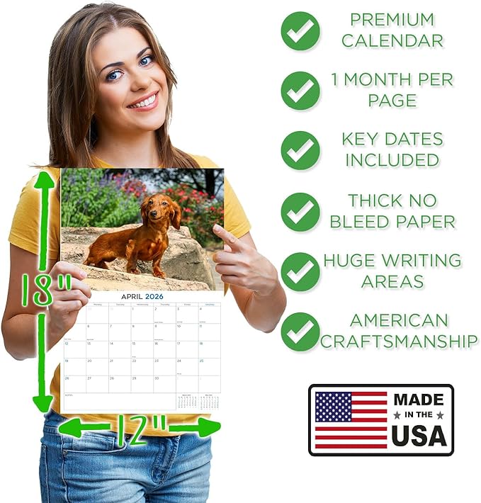 2025 2026 Dachshund Longhaired Calendar - Dog Breed Monthly Wall Calendar - 12" x 18" Open - Thick No-Bleed Paper - Giftable - Academic Teacher's Planner Calendar Organizing & Planning - Made in USA
