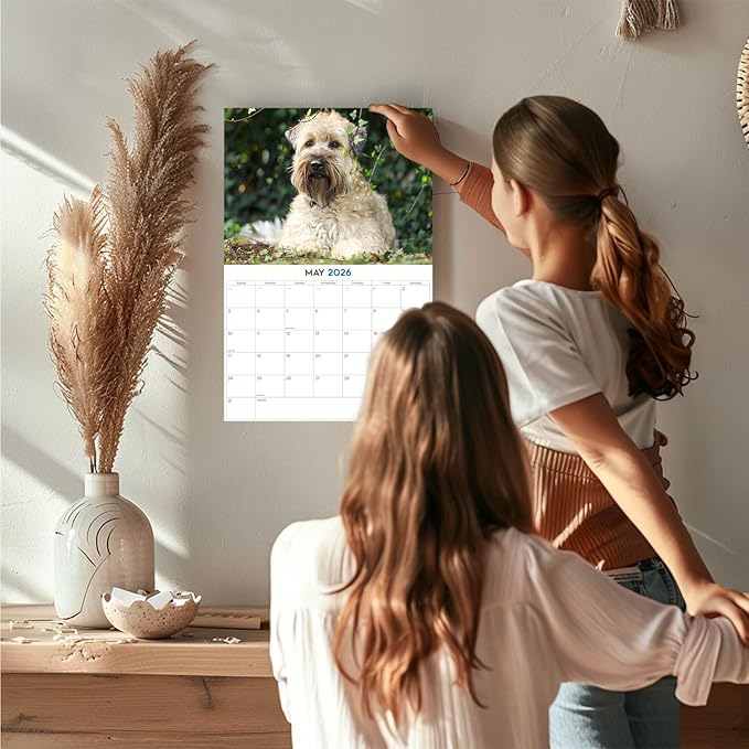 2025 2026 Softcoat Wheaten Terrier Calendar - Dog Breed Monthly Wall Calendar - 12" x 18" Open - Thick No-Bleed Paper - Giftable - Academic Teacher's Planner Calendar Organizing & Planning - Made in USA
