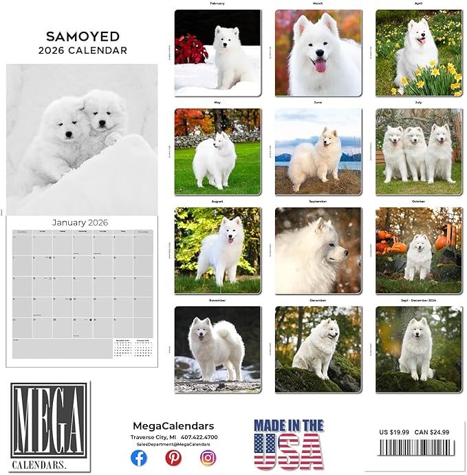 Samoyed Calendar 2026 by MegaCalendars – Monthly Dog Breed Wall Calendar, Made in USA