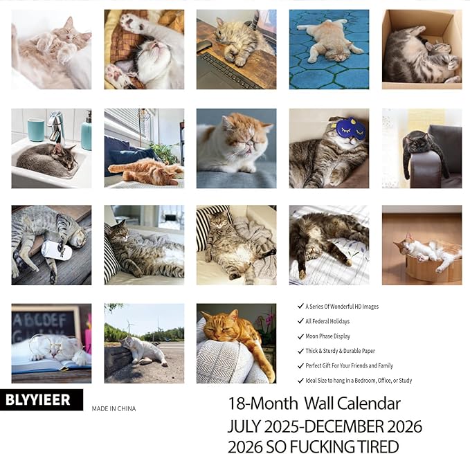 2026 Wall Calendar,Cat Calendar 2026,So Tired cat Monthly Wall Calendar, 12" x 24" Open,Family Planner Calendar Organizer with Cat Tired Funny Expression Moment Images, for Cats Lovers