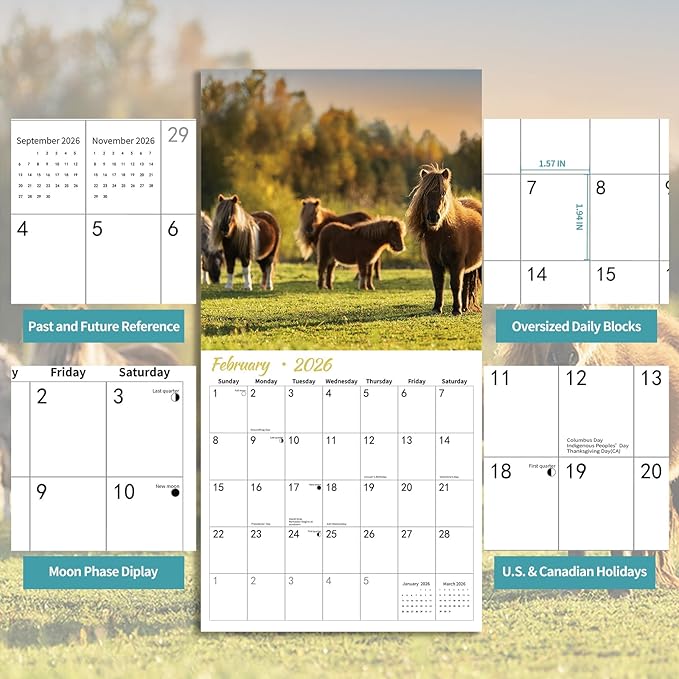 2026 Wall Calendar,Calendar 2026,Shetland Pony Cattle Monthly Wall Calendar, 12" x 24" Open,Family Planner Calendar, Home & Office Organizer,Hangable