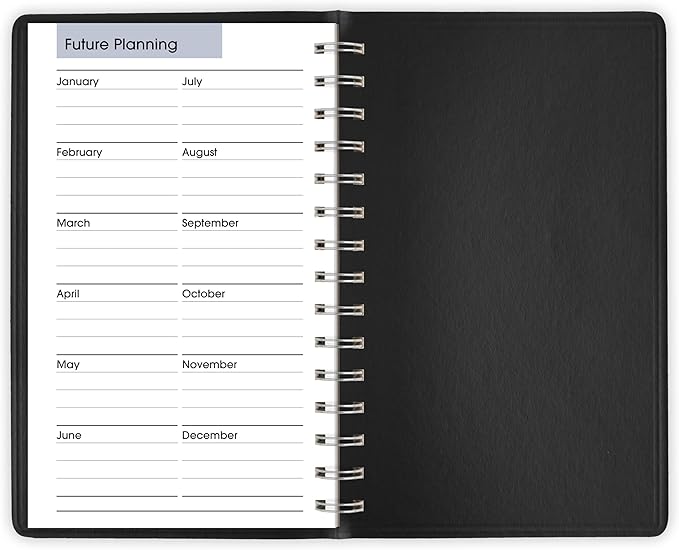 AT-A-GLANCE 2026 Appointment Book Planner, Daily, 5" x 8", Small, Quarter-Hourly, DayMinder, Black (G1000026)