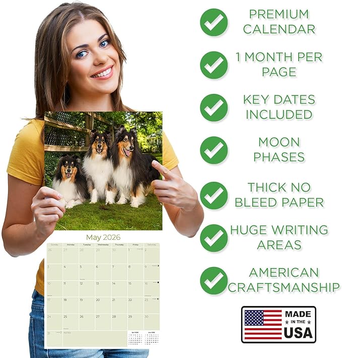 Collie Calendar 2026 by MegaCalendars – Monthly Dog Breed Wall Calendar, Made in USA