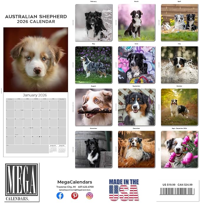 Australian Shepherd Calendar 2026 – 16-Month Dog Breed Wall Calendar by MegaCalendars – Large Daily Blocks, Thick No-Bleed Paper, Made in USA