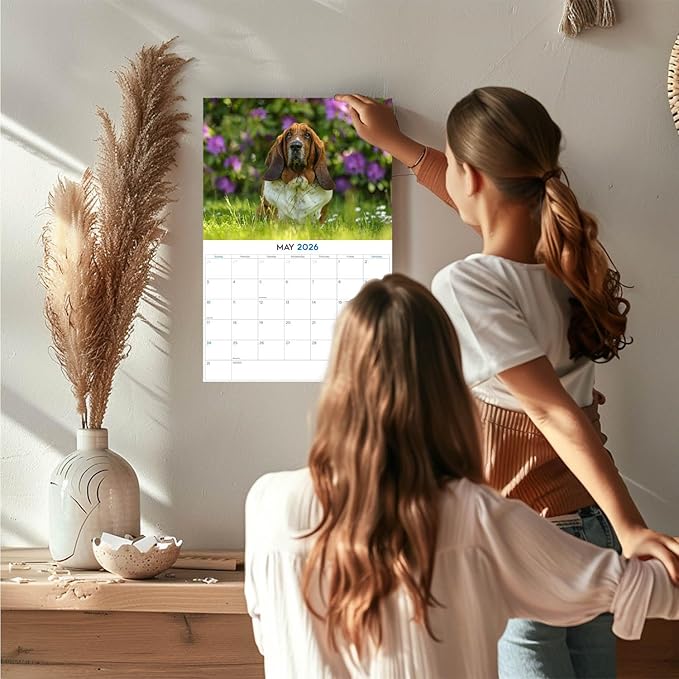 2025 2026 Basset Hound Calendar - Dog Breed Monthly Wall Calendar - 12" x 18" Open - Thick No-Bleed Paper - Giftable - Academic Teacher's Planner Calendar Organizing & Planning - Made in USA