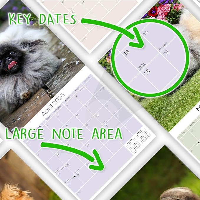 Pekingese Calendar 2026 by MegaCalendars – Monthly Dog Breed Wall Calendar, Made in USA