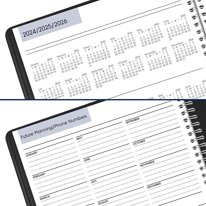 AT-A-GLANCE 2025 Appointment Book Planner, Daily, Four Person Group Planner, 8" x 11", Large, Quarter-Hourly, DayMinder, Black (G5600025)