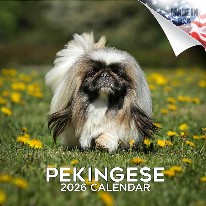 Pekingese Calendar 2026 by MegaCalendars – Monthly Dog Breed Wall Calendar, Made in USA
