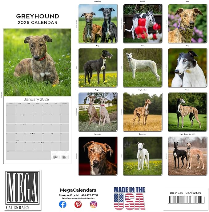 Greyhound Calendar 2026 by MegaCalendars – Monthly Dog Breed Wall Calendar, Made in USA
