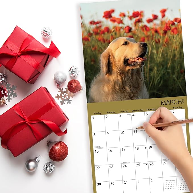 2026 Wall Calendar,Golden Retriever Wall Calendar, 12" x 24" Open,Family Planner Calendar Organizer with Golden Retriever Images, for Dogs Lovers