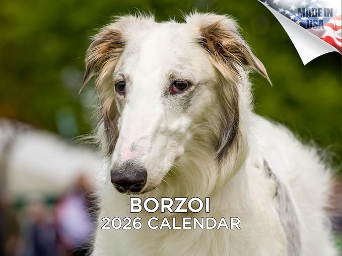2025 2026 Borzoi Calendar - Dog Breed Monthly Wall Calendar - 12" x 18" Open - Thick No-Bleed Paper - Giftable - Academic Teacher's Planner Calendar Organizing & Planning - Made in USA