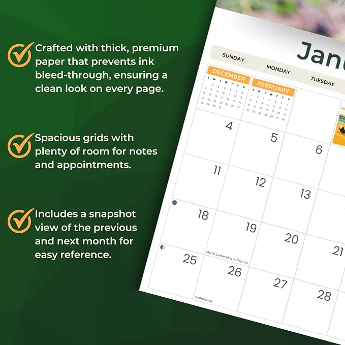 2026 Border Collies Dog Deluxe Wall Calendar | 16-Month Monthly Planner | Eco-Friendly Plastic-Free Organizer | Large 12" x 13.3" Home & Office Calendar with Holidays & Cute Border Collie Photos