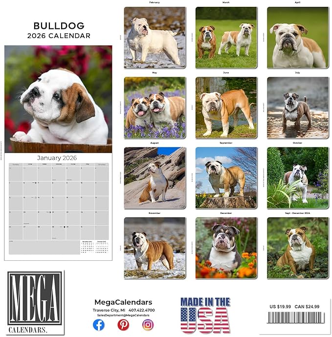 Bulldog Calendar 2026 by MegaCalendars – Monthly Dog Breed Wall Calendar, Made in USA