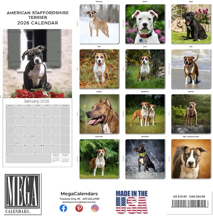 American Staffordshire Terrier Calendar 2026 by MegaCalendars – Monthly Dog Breed Wall Calendar, Made in USA