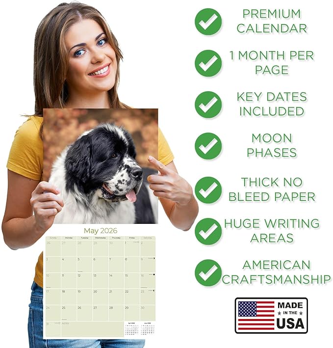 Newfoundland Calendar 2026 – 16-Month Dog Breed Wall Calendar by MegaCalendars – Large Daily Blocks, Thick No-Bleed Paper, Made in USA