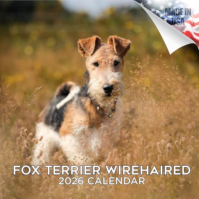 Fox Terrier Wirehaired Calendar 2026 by MegaCalendars – Monthly Dog Breed Wall Calendar, Made in USA