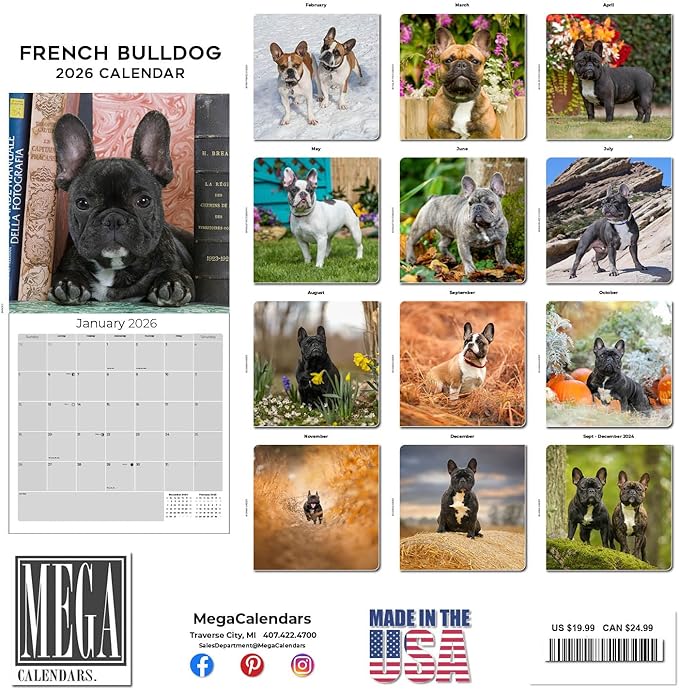 French Bulldog Calendar 2026 – 16-Month Dog Breed Wall Calendar by MegaCalendars – Large Daily Blocks, Thick No-Bleed Paper, Made in USA