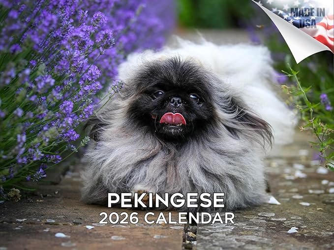 2025 2026 Pekingese Calendar - Dog Breed Monthly Wall Calendar - 12" x 18" Open - Thick No-Bleed Paper - Giftable - Academic Teacher's Planner Calendar Organizing & Planning - Made in USA