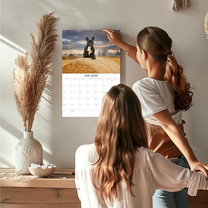 2025 2026 French Bulldog Calendar - Dog Breed Monthly Wall Calendar - 12" x 18" Open - Thick No-Bleed Paper - Giftable - Academic Teacher's Planner Calendar Organizing & Planning - Made in USA