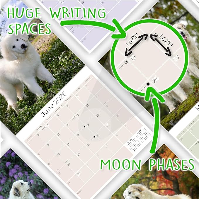 Great Pyrenese Calendar 2026 by MegaCalendars – Monthly Dog Breed Wall Calendar, Made in USA
