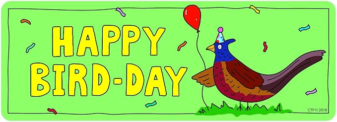 Creative Teaching Press So Much Pun! Hap-bee Birthday Bookmarks (5555)