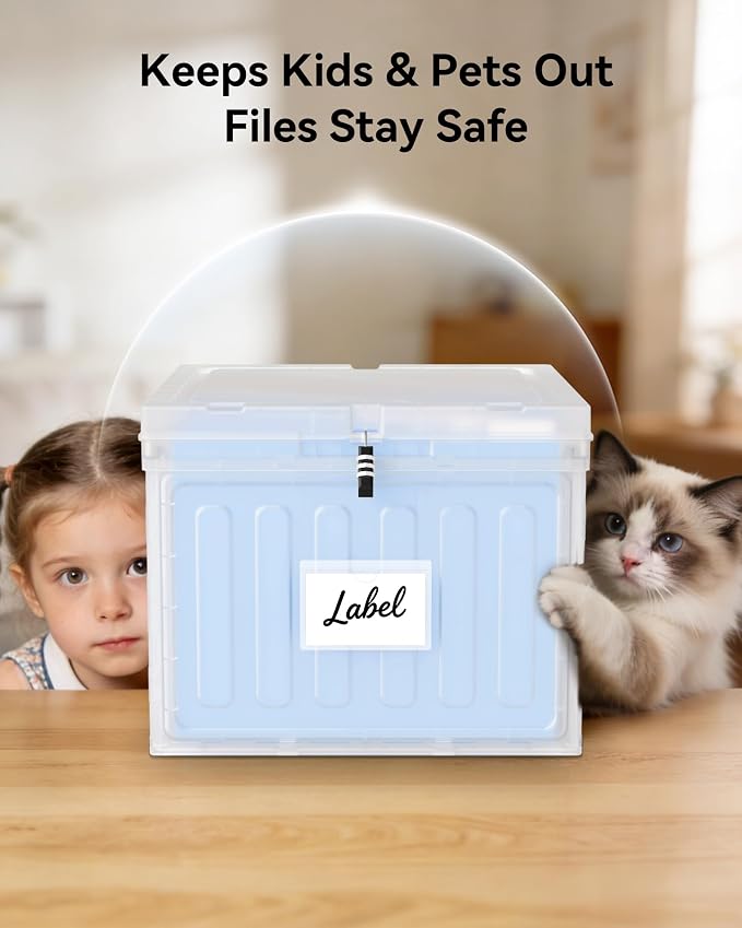 Oterri Plastic File Box with Lid for Letter Size Hanging File Folders, Hanging File Folder Box for Home, Office, School, File Cabinet (Transparent, Large-1 Pack Without Folders)