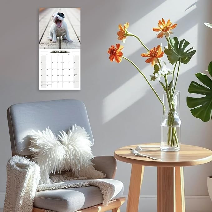 2025-2026 Wall Calendar American Staffordshire Terrier Planner Calendar, Hangable Monthly Wall Calendar with Large Blocks for Organizing & Planning, Academic Schedule, Home, Office & family, Thick & Sturdy Paper (12"x24" Open)