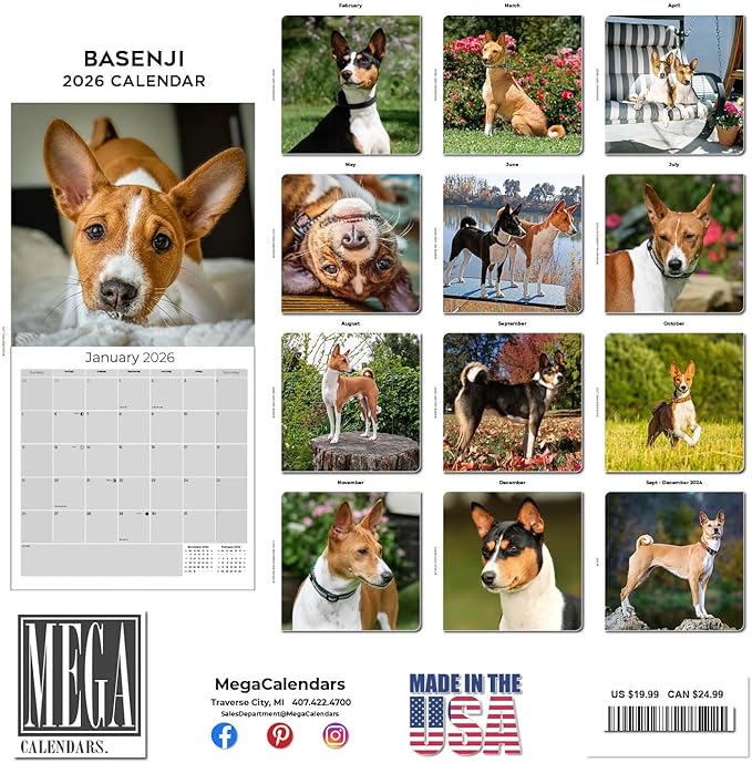 Basenji Calendar 2026 by MegaCalendars – Monthly Dog Breed Wall Calendar, Made in USA
