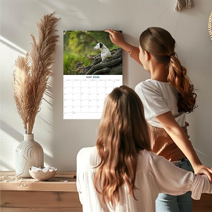 2025 2026 Dalmatian Pups Calendar - Dog Breed Monthly Wall Calendar - 12" x 18" Open - Thick No-Bleed Paper - Giftable - Academic Teacher's Planner Calendar Organizing & Planning - Made in USA