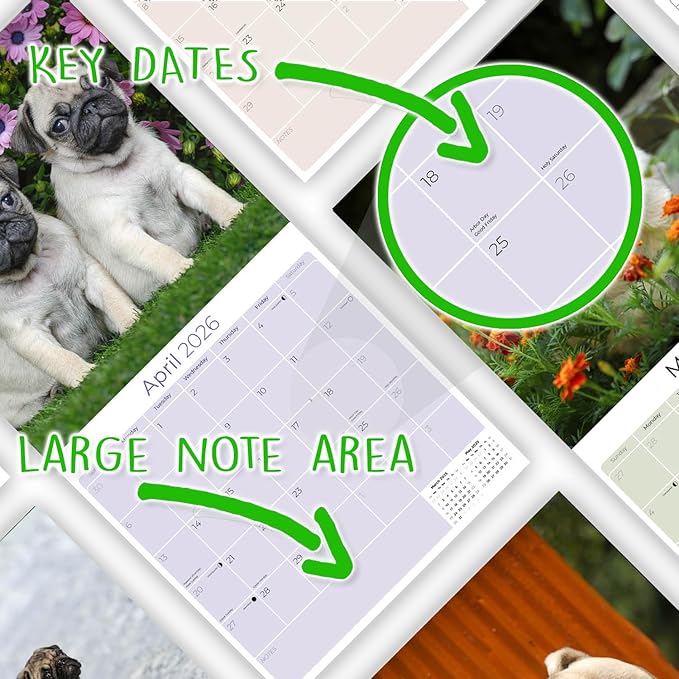 Pug Calendar 2026 by MegaCalendars – Monthly Dog Breed Wall Calendar, Made in USA