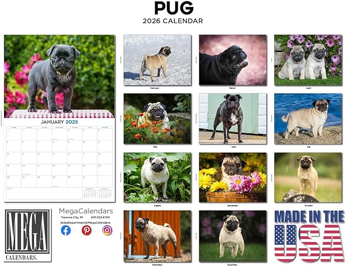 2025 2026 Pug Calendar - Dog Breed Monthly Wall Calendar - 12" x 18" Open - Thick No-Bleed Paper - Giftable - Academic Teacher's Planner Calendar Organizing & Planning - Made in USA