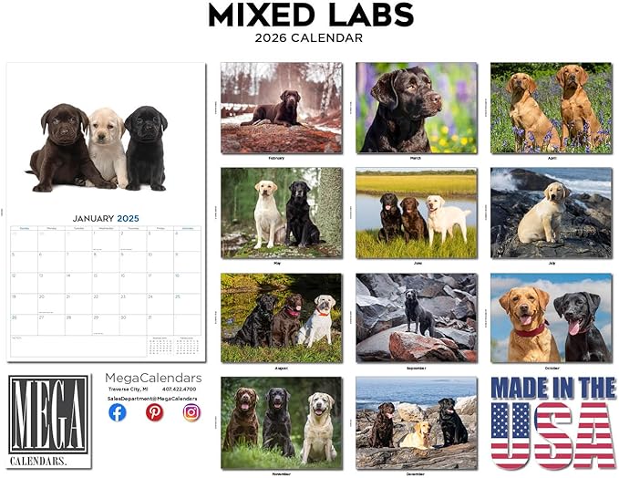 2025 2026 Labrador Mixed Calendar - Dog Breed Monthly Wall Calendar - 12" x 18" Open - Thick No-Bleed Paper - Giftable - Academic Teacher's Planner Calendar Organizing & Planning - Made in USA