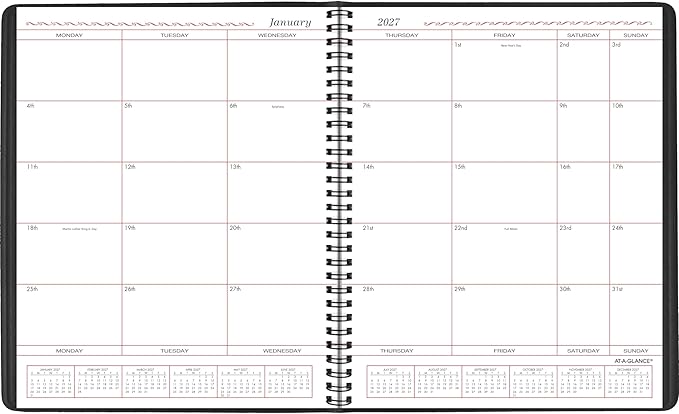 AT-A-GLANCE 2027 Planner, Monthly, 8" x 10", Unruled Daily Blocks, Black (701300527)