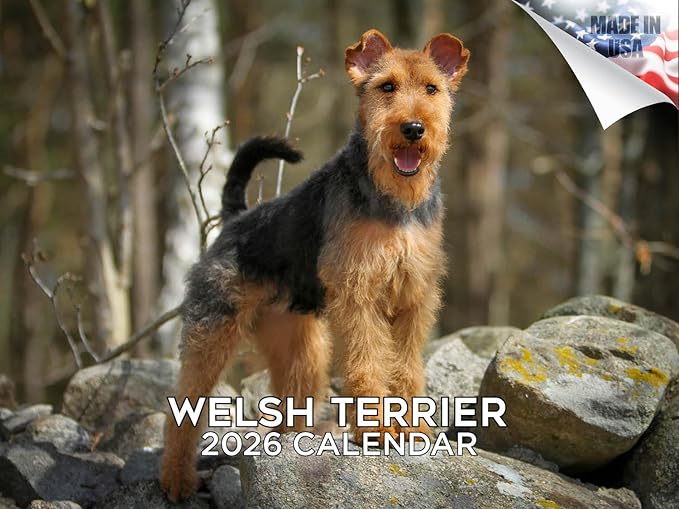 2025 2026 Welsh Terrier Calendar - Dog Breed Monthly Wall Calendar - 12" x 18" Open - Thick No-Bleed Paper - Giftable - Academic Teacher's Planner Calendar Organizing & Planning