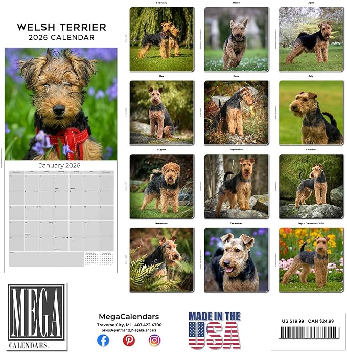 2025 2026 Welsh Terrier Calendar - Dog Breed Monthly Wall Calendar - 12" x 24" Open - Thick No-Bleed Paper - Giftable - Academic Teacher's Planner Calendar Organizing & Planning