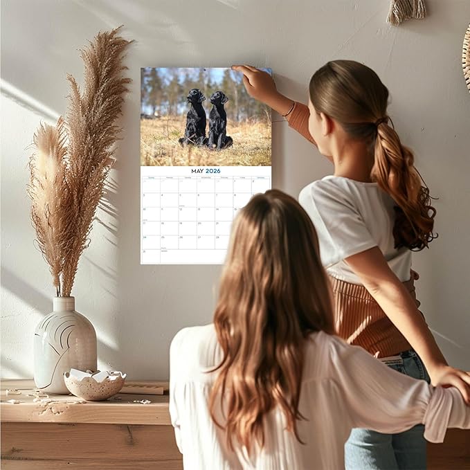 2025 2026 Flatcoated Retriever Calendar - Dog Breed Monthly Wall Calendar - 12" x 18" Open - Thick No-Bleed Paper - Giftable - Academic Teacher's Planner Calendar Organizing & Planning - Made in USA