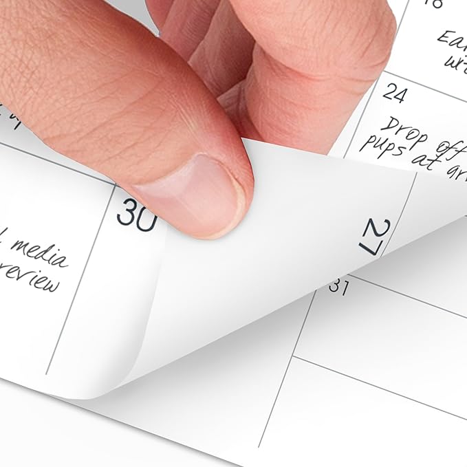 AT-A-GLANCE 2026 Monthly Planner Refill for 70-064, 3-1/2" x 6", Pocket Size (709061026)
