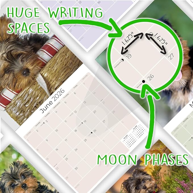 Yorkshire Terrier Puppies Calendar 2026 by MegaCalendars – Monthly Dog Breed Wall Calendar, Made in USA